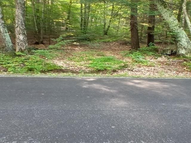 420 Sutton Rd, Newbury, NH 03255