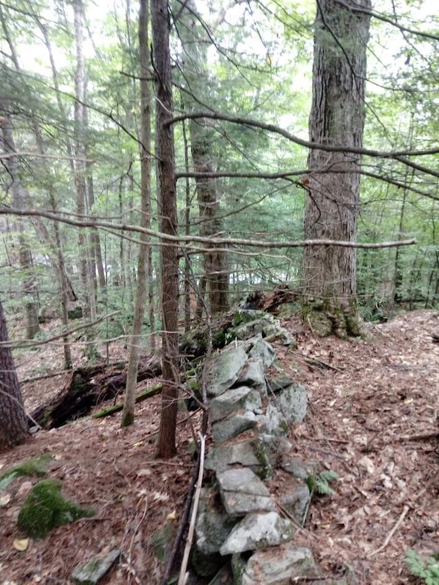 420 Sutton Rd, Newbury, NH 03255
