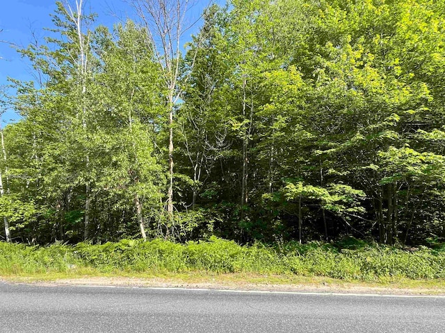 Listing photo 3 for 000 Rte 114, Sutton NH 03221