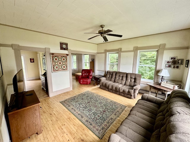 living room with ceiling fan and light hardwood / wood-style flooring