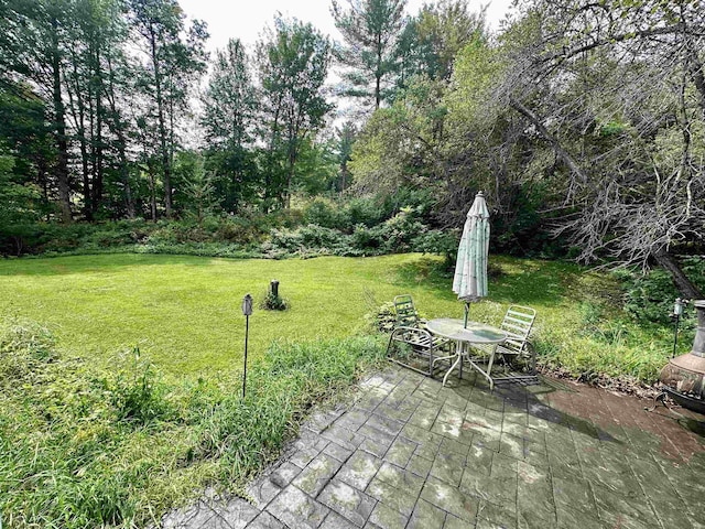 view of yard featuring a patio area