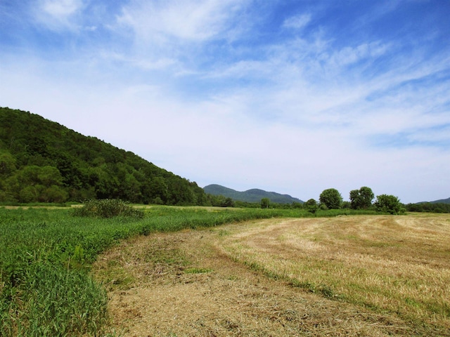 view of nature featuring a mountain view and a rural view