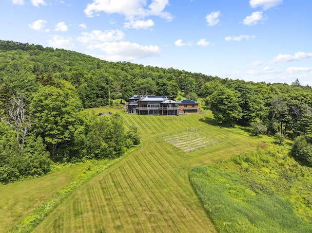 drone / aerial view featuring a rural view