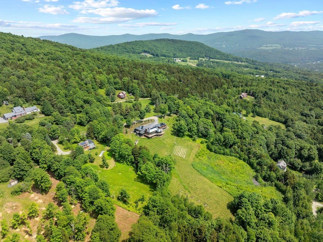 aerial view with a mountain view