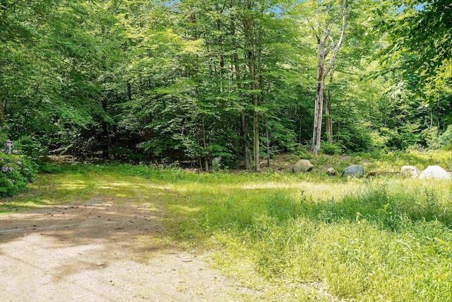 231 Mutton Rd, Webster NH, 03303 land for sale