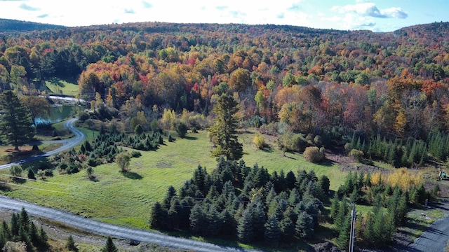 0 Getz Rd, Williamstown VT, 05679 land for sale