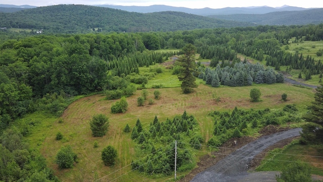 Listing photo 3 for 0 Getz Rd, Williamstown VT 05679