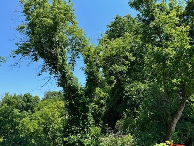 view of nature with a forest view