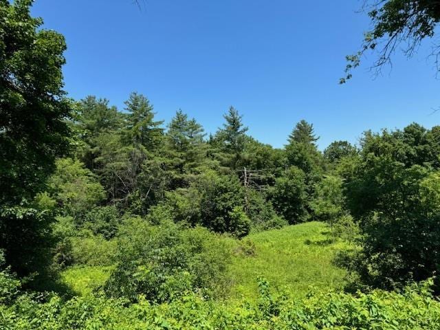 view of nature featuring a forest view