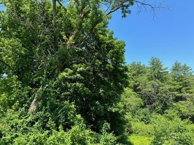 view of local wilderness with a forest view