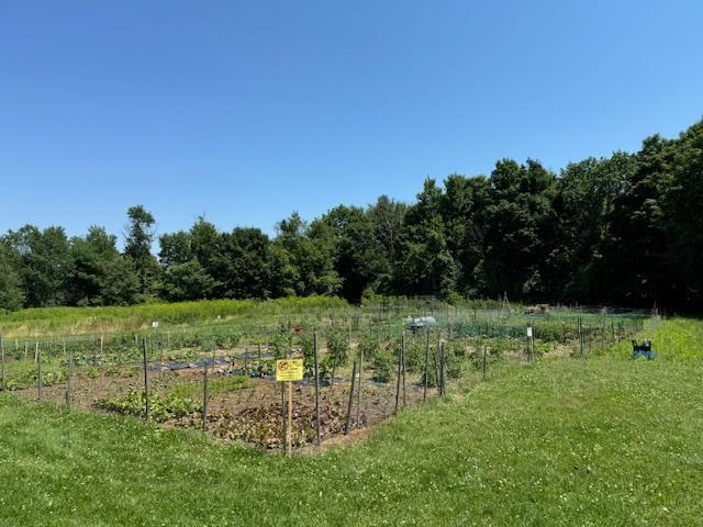 view of yard with a rural view and a vegetable garden