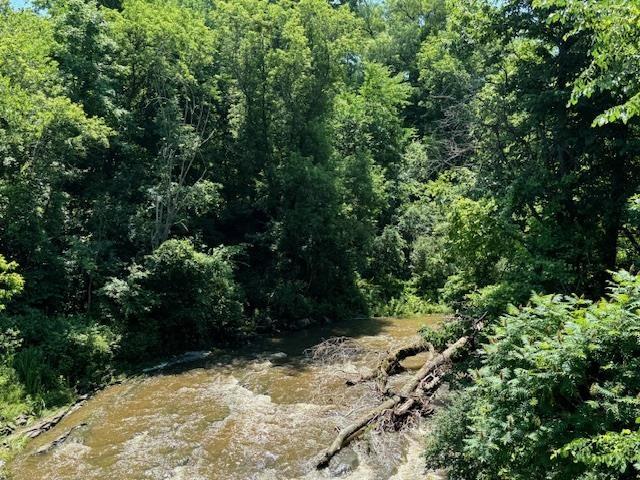 view of local wilderness featuring a forest view