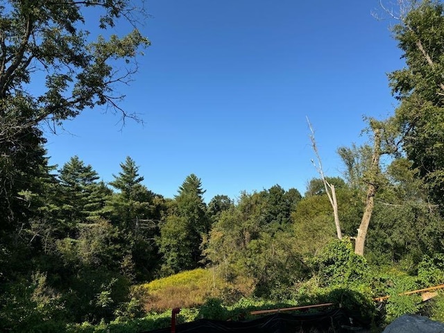 view of local wilderness featuring a view of trees