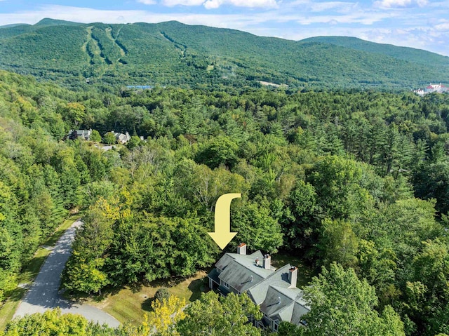 birds eye view of property featuring a mountain view