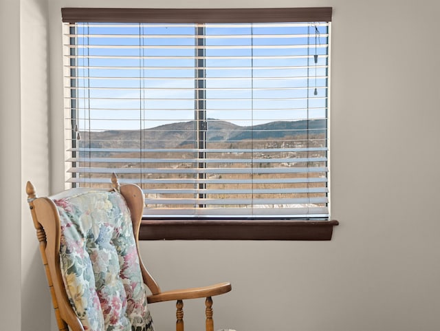 room details featuring a mountain view