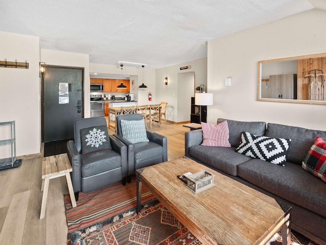 living room featuring a textured ceiling and wood-type flooring