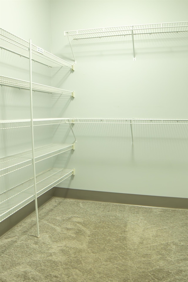 spacious closet with carpet