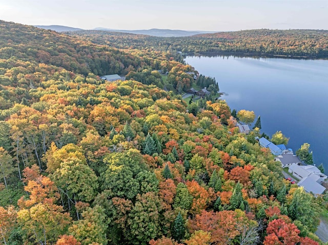 A1-5-5 Diamond Pond Rd, Stewartstown, NH 03576