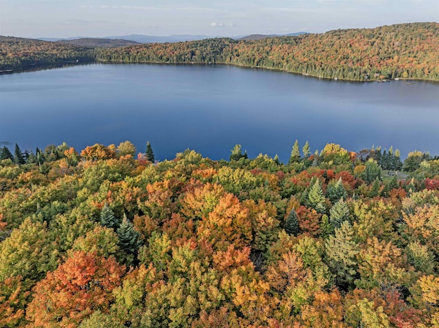 A1-5-5 Diamond Pond Rd, Stewartstown, NH 03576