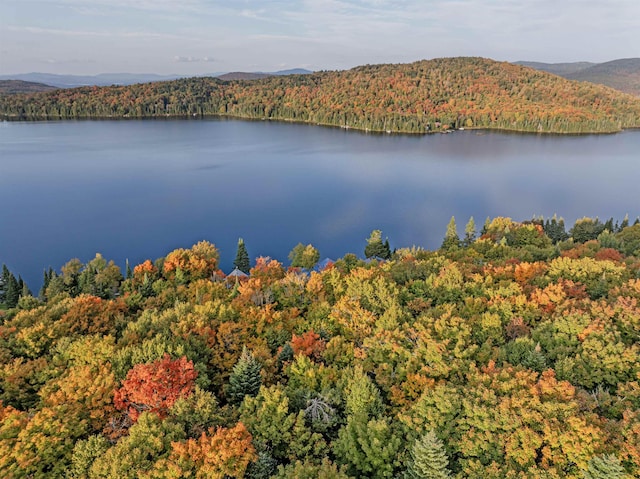 A1-5-5 Diamond Pond Rd, Stewartstown, NH 03576