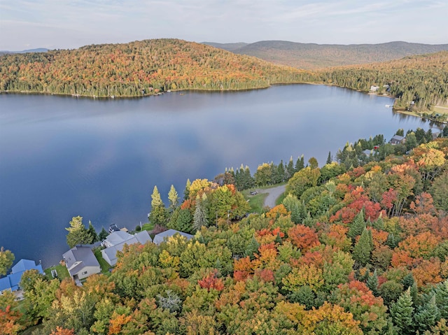 A1-5-5 Diamond Pond Rd, Stewartstown, NH 03576