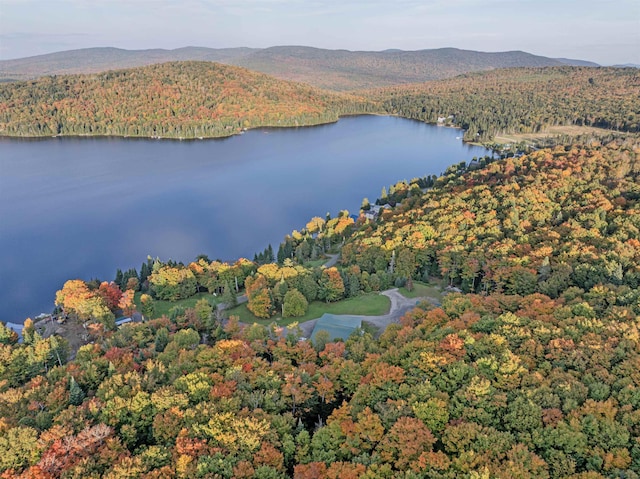 A1-5-5 Diamond Pond Rd, Stewartstown, NH 03576