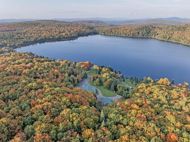 A1-5-5 Diamond Pond Rd, Stewartstown, NH 03576