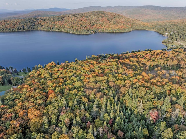 A1-5-5 Diamond Pond Rd, Stewartstown, NH 03576