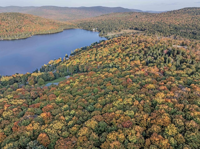 A1-5-5 Diamond Pond Rd, Stewartstown, NH 03576