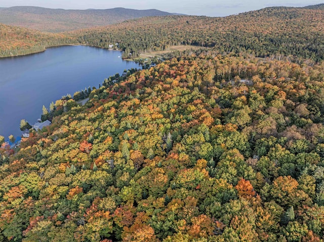 A1-5-5 Diamond Pond Rd, Stewartstown, NH 03576