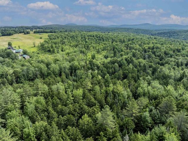 birds eye view of property featuring a mountain view and a view of trees