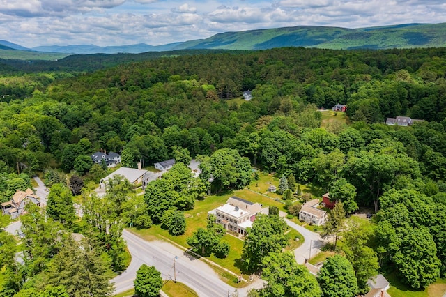 drone / aerial view featuring a mountain view