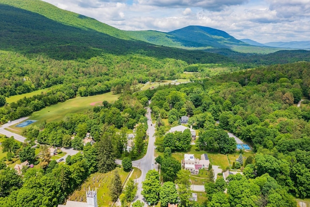 birds eye view of property featuring a mountain view