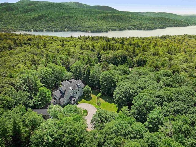 drone / aerial view featuring a water and mountain view