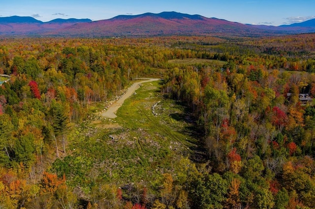 LOT3 Old E Rd, Whitefield, NH 03598