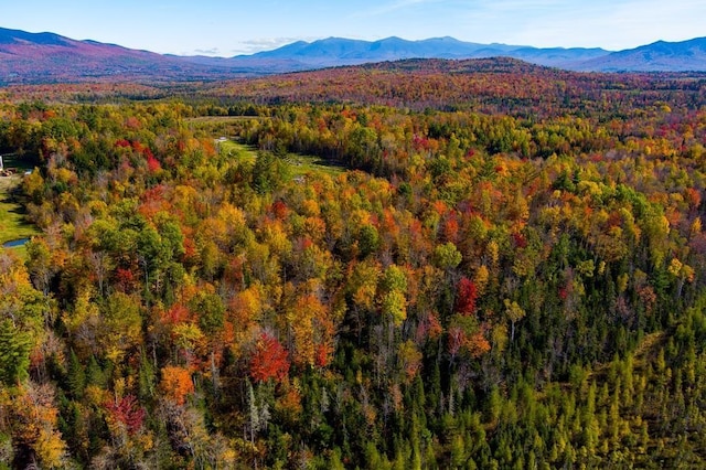 LOT3 Old E Rd, Whitefield, NH 03598