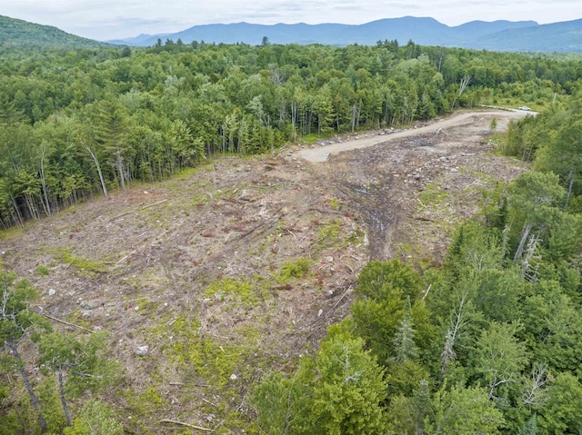 LOT3 Old E Rd, Whitefield, NH 03598