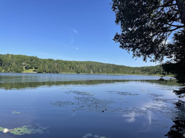 OFF Fish Pond Rd, Columbia NH, 03576 land for sale