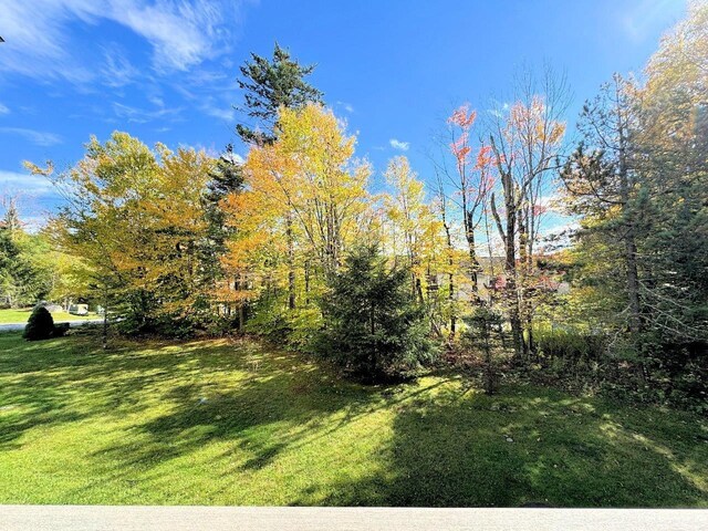 34 Sugar Brook Rd Unit F4, Peru, VT 05152 - view of green lawn