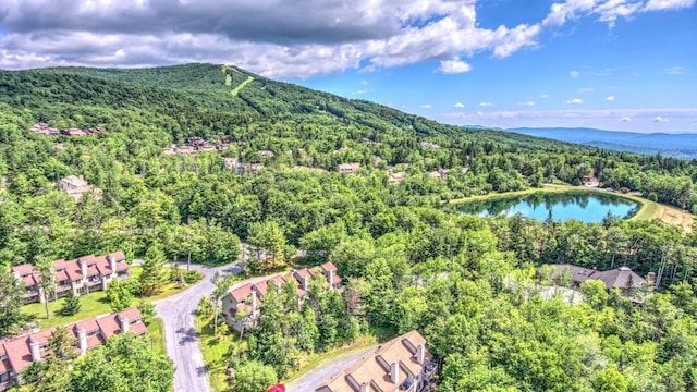 34 Sugar Brook Rd Unit F4, Peru, VT 05152 - view of property location with a heavily wooded area and a water and mountain view