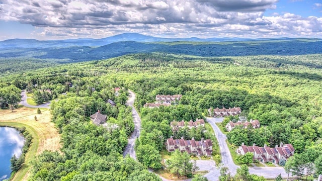 34 Sugar Brook Rd Unit F4, Peru, VT 05152 - bird's eye view of a forest and a mountainous background