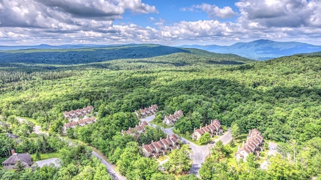 34 Sugar Brook Rd Unit F4, Peru, VT 05152 - drone / aerial view of a heavily wooded area and a mountain backdrop