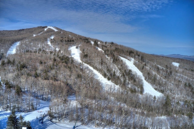 34 Sugar Brook Rd Unit F4, Peru, VT 05152 - view of mountain background