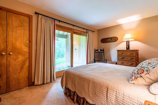 carpeted bedroom with access to outside, multiple windows, a closet, and a textured ceiling