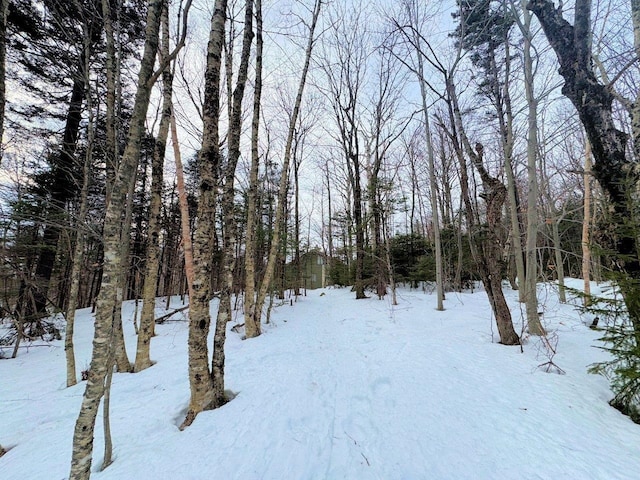 view of snow covered land