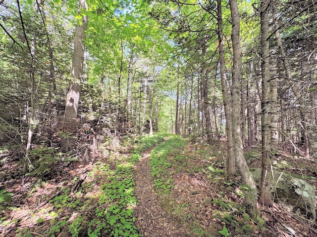 view of landscape