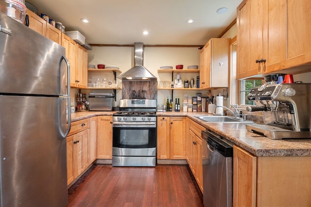 kitchen featuring sink, wall chimney exhaust hood, dark hardwood / wood-style floors, crown molding, and appliances with stainless steel finishes