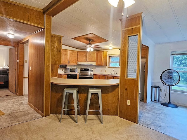 kitchen featuring stainless steel appliances, light colored carpet, a sink, ceiling fan, and under cabinet range hood