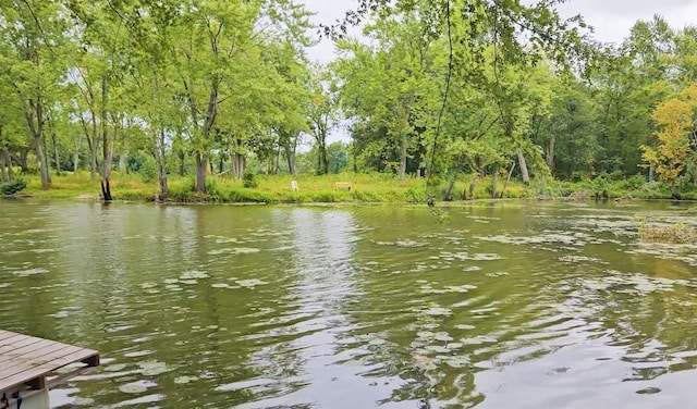 property view of water featuring a forest view