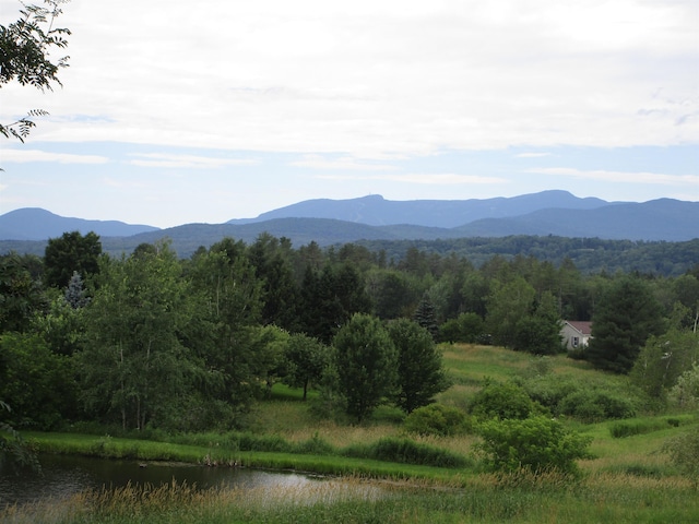 mountain view featuring a forest view